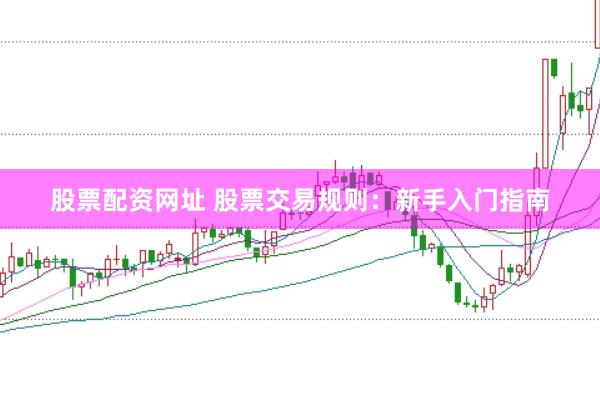 股票配资网址 股票交易规则：新手入门指南