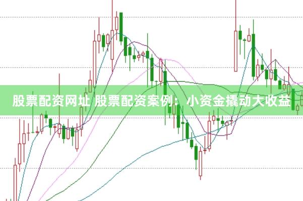股票配资网址 股票配资案例：小资金撬动大收益