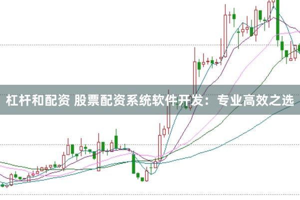 杠杆和配资 股票配资系统软件开发：专业高效之选
