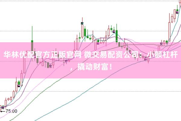 华林优配官方正版官网 微交易配资公司：小额杠杆，撬动财富！
