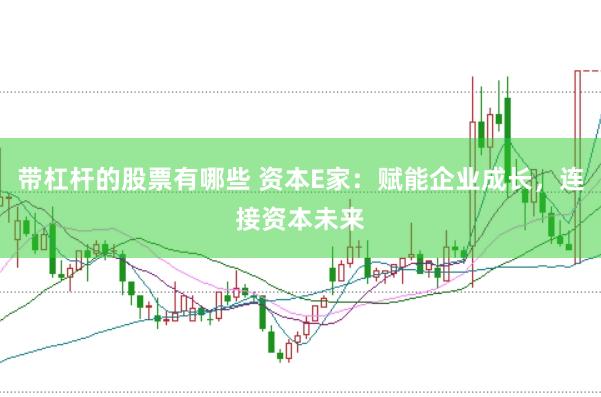 带杠杆的股票有哪些 资本E家：赋能企业成长，连接资本未来