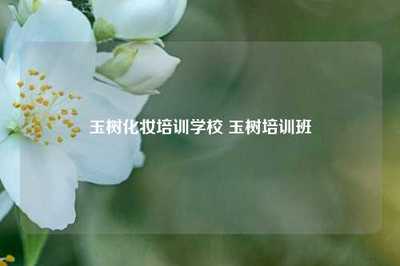 玉树化妆培训学校 玉树培训班